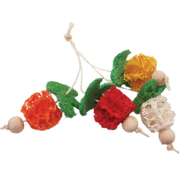 A & E Cage Loofah Bunch of Fruits Small Animal Toy - Pet Home | The Perfect Pet Supplies Shopping Experience
