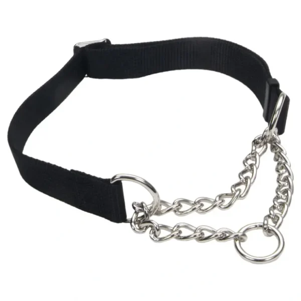 Adjustable Training Collar for Dogs, Black, Small - 5/8" x 10"-14" - Pet Home | The Perfect Pet Supplies Shopping Experience