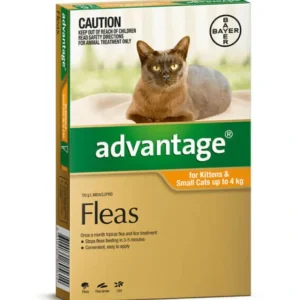 Advantage Orange for small cats and kittens single dose pack - Pet Home | The Perfect Pet Supplies Shopping Experience