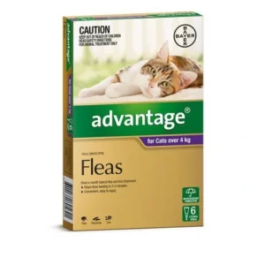 Advantage Purple 6pk Cats over 4kg - Pet Home | The Perfect Pet Supplies Shopping Experience