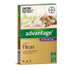 Advantage Purple 4pk Cats over 4kg - Pet Home | The Perfect Pet Supplies Shopping Experience