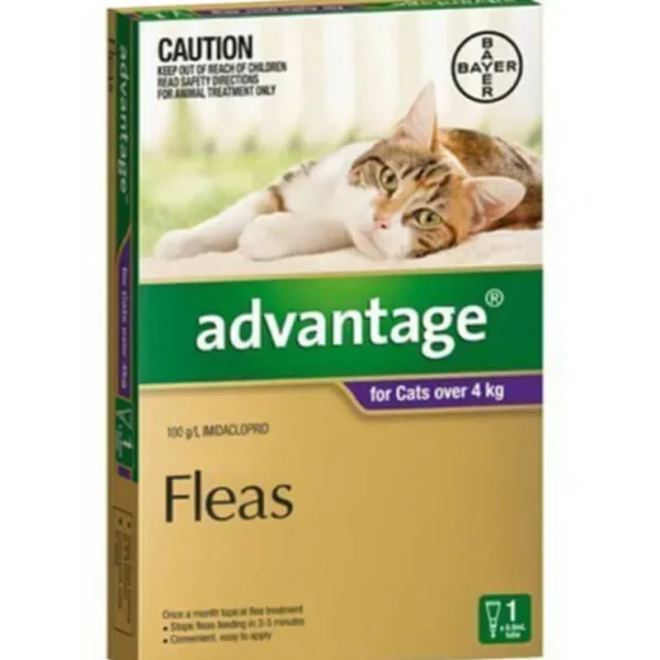 Advantage Purple Single Dose Pack for Cats over 4kg - Pet Home | The Perfect Pet Supplies Shopping Experience