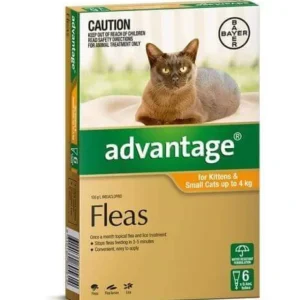 Advantage Small Cats Orange 6 pack Cats up to 4kg - Pet Home | The Perfect Pet Supplies Shopping Experience