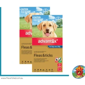 Advantix Blue Dogs over 25kg 12 pack - (2 x 6 pks) - Pet Home | The Perfect Pet Supplies Shopping Experience