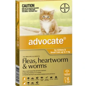 Advocate Cat Orange 6pk for small cats under 4kg - Pet Home | The Perfect Pet Supplies Shopping Experience