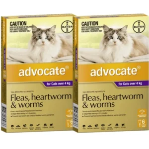 Advocate Cat Purple (cats over 4kg) 12pk - Pet Home | The Perfect Pet Supplies Shopping Experience