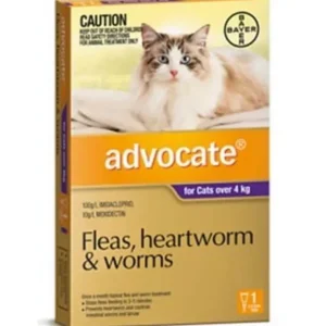Advocate Cat SINGLE Dose Pack Purple for cats over 4kg - Pet Home | The Perfect Pet Supplies Shopping Experience