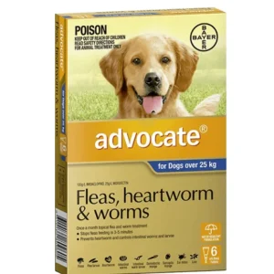 Advocate Extra Large Dog Blue (>25kg) 6pk - Pet Home | The Perfect Pet Supplies Shopping Experience