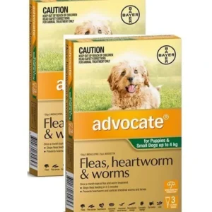Advocate for Small Dogs up to 4kg green Spot on 6 pack - Pet Home | The Perfect Pet Supplies Shopping Experience