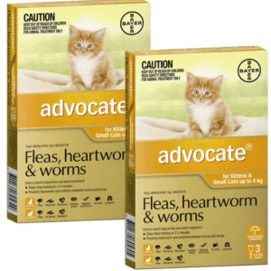 Advocate Small Cat Orange (<4kg) 12pk - Pet Home | The Perfect Pet Supplies Shopping Experience