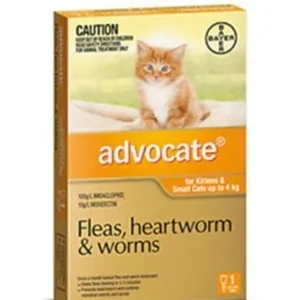 Advocate Small Cat SINGLE Dose Pack Orange for cats under 4kg - Pet Home | The Perfect Pet Supplies Shopping Experience
