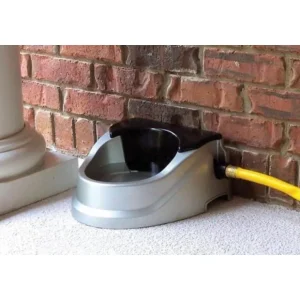 Bear Bear Aqua Buddy Automatic Waterer 1.89 Litres - Pet Home | The Perfect Pet Supplies Shopping Experience