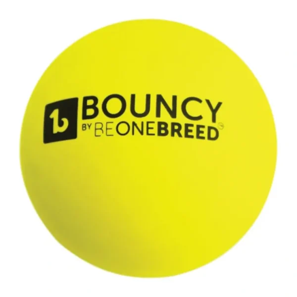 BeOneBreed, Bouncy Ball - Toss Dog Toy - Pet Home | The Perfect Pet Supplies Shopping Experience