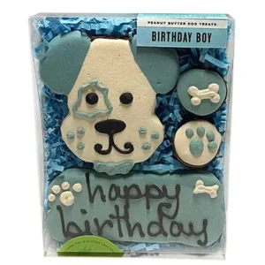 Birthday Boy Box - Pet Home | The Perfect Pet Supplies Shopping Experience