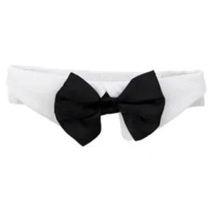 Black Satin Bow Tie with White Collar for Dogs from Doggie Design - Pet Home | The Perfect Pet Supplies Shopping Experience