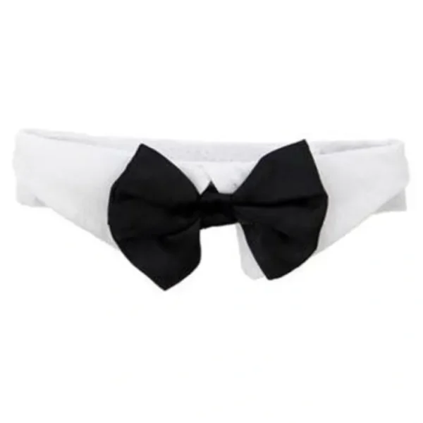 Black Satin Bow Tie with White Collar for Dogs from Doggie Design - Pet Home | The Perfect Pet Supplies Shopping Experience