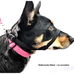 BlackDog Haltermate Black - Pet Home | The Perfect Pet Supplies Shopping Experience