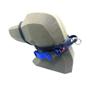 BlackDog HalterMate Blue - Pet Home | The Perfect Pet Supplies Shopping Experience