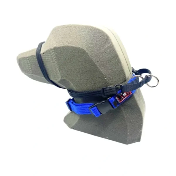 BlackDog HalterMate Blue - Pet Home | The Perfect Pet Supplies Shopping Experience