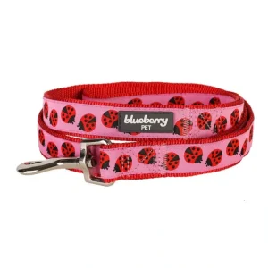 Blueberry Pet Durable Pink Webbing Ladybug Designer Dog Leash - Pet Home | The Perfect Pet Supplies Shopping Experience