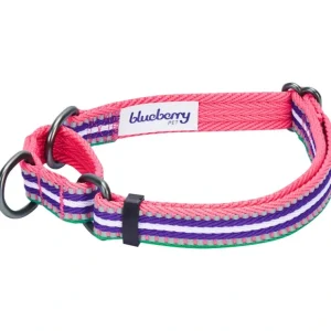 Blueberry Pet 3M Reflective Stripe Heavy Duty Training Martingale Dog Collar, Pink Emerald and Orchid - Pet Home | The Perfect Pet Supplies Shopping Experience