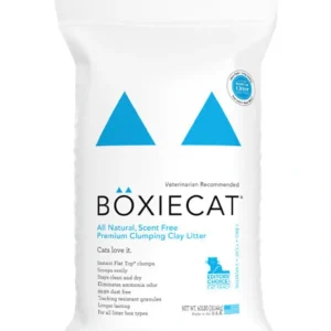 BoxieCat Clay Scent Free Litter (40lb) - Pet Home | The Perfect Pet Supplies Shopping Experience