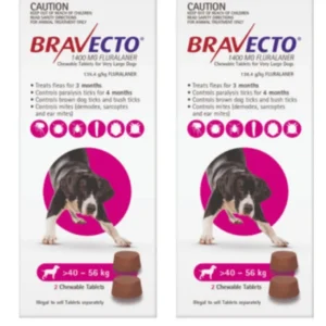 Bravecto for Extra Large Dogs 40 - 56 kg x 4 Chews (12 months treatment) - Pet Home | The Perfect Pet Supplies Shopping Experience