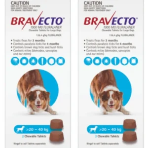 Bravecto for Large Dogs 20 - 40kg x 4 Chews (12 months prevention) - Pet Home | The Perfect Pet Supplies Shopping Experience