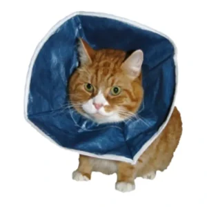 Buster Non Woven Soft Collar - Pet Home | The Perfect Pet Supplies Shopping Experience