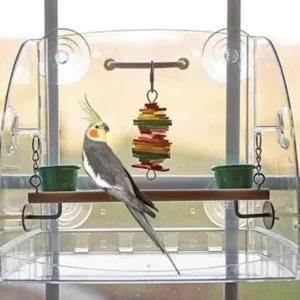 Caitec Bird Window Play Center - Pet Home | The Perfect Pet Supplies Shopping Experience