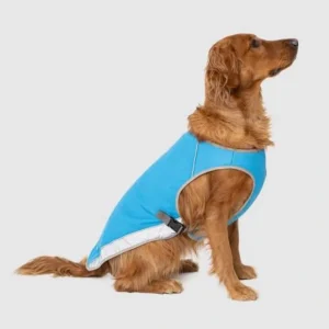 Canada Pooch Cooling Vest Aqua - Pet Home | The Perfect Pet Supplies Shopping Experience