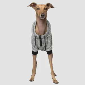 Canada Pooch Hero Hoodie Gray - Pet Home | The Perfect Pet Supplies Shopping Experience