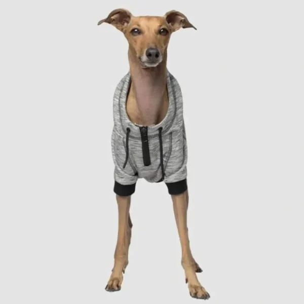 Canada Pooch Hero Hoodie Gray - Pet Home | The Perfect Pet Supplies Shopping Experience