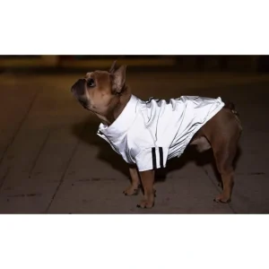 Canada Pooch Reflective Anorak Jacket Grey* - Pet Home | The Perfect Pet Supplies Shopping Experience