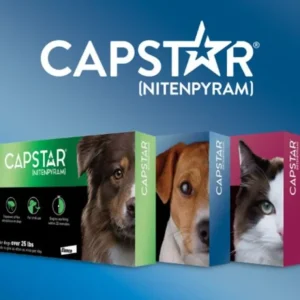 Capstar for Dogs & Cats - Pet Home | The Perfect Pet Supplies Shopping Experience