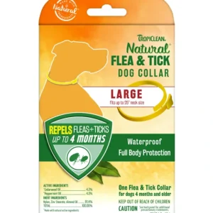 Cat Toy, Feather Teaser - Pet Home | The Perfect Pet Supplies Shopping Experience