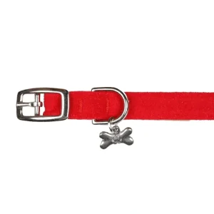 Chocolate Collar - Pet Home | The Perfect Pet Supplies Shopping Experience