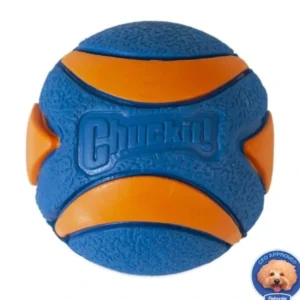 Chuckit! Ultra Squeaker Ball - Pet Home | The Perfect Pet Supplies Shopping Experience