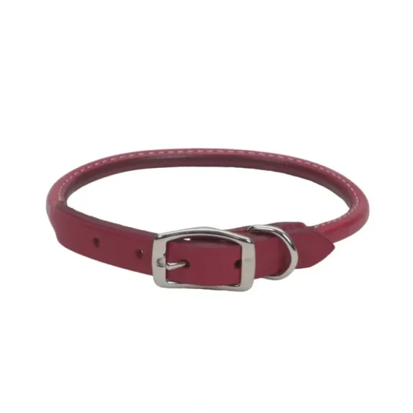 Coastal Oak Round Collar Red - Pet Home | The Perfect Pet Supplies Shopping Experience