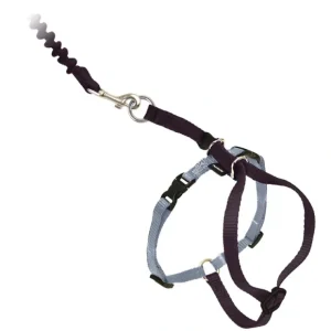 Come With Me Kitty Black Cat Harness & Bungee Leash - Pet Home | The Perfect Pet Supplies Shopping Experience