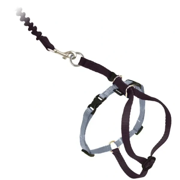 Come With Me Kitty Black Cat Harness & Bungee Leash - Pet Home | The Perfect Pet Supplies Shopping Experience