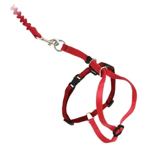 Easy Walk, Come With Me Kitty Cat Harness & Bungee Leash - Red - Pet Home | The Perfect Pet Supplies Shopping Experience