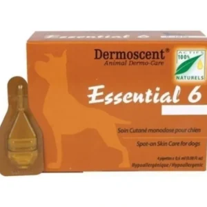 Essential 6 Large Dog 20 - 40kg 4 pack - Pet Home | The Perfect Pet Supplies Shopping Experience