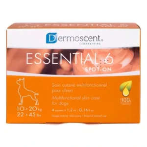 Essential 6 Medium Dog 10-20kg 4 pack - Pet Home | The Perfect Pet Supplies Shopping Experience