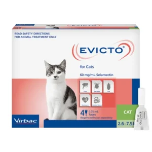 Shop Evicto Spot On for Cats 2.6-7.5kg - 4 pack - Pet Home | The Perfect Pet Supplies Shopping Experience Cats