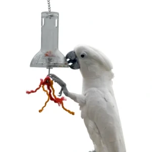 Cheap Featherland Paradise Creative Foraging Capsule Bird Toy - Pet Home | The Perfect Pet Supplies Shopping Experience Pet Toys