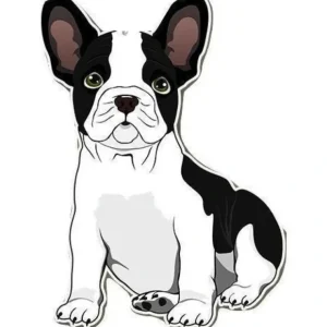 Clearance French Bulldog Sticker from Fresh Pawz - Pet Home | The Perfect Pet Supplies Shopping Experience Dogs
