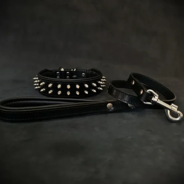 "Frenchie" Set- collar & leash. Black - Pet Home | The Perfect Pet Supplies Shopping Experience