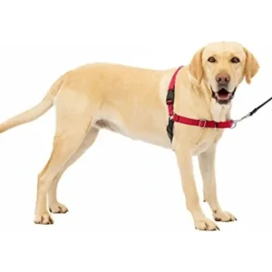 Best Sale Gentle Leader Harness With Front Leash Attachment Large - Pet Home | The Perfect Pet Supplies Shopping Experience Pet Toys