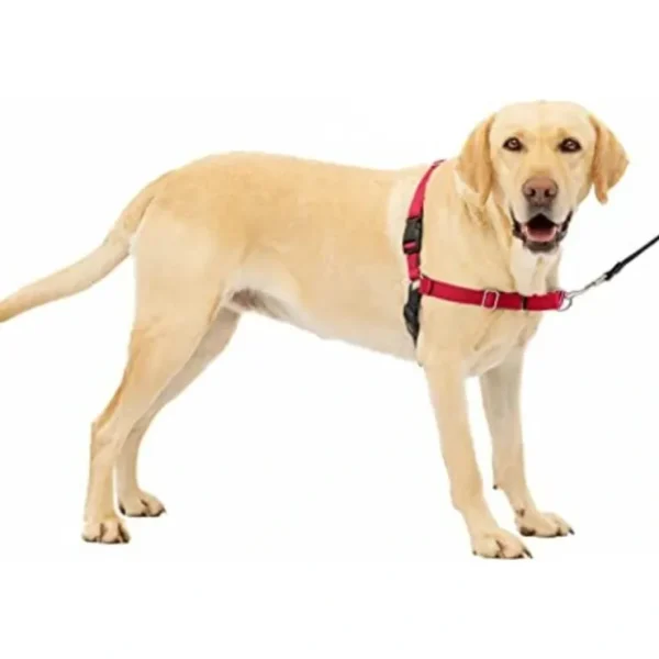 Best Sale Gentle Leader Harness With Front Leash Attachment Large - Pet Home | The Perfect Pet Supplies Shopping Experience Pet Toys